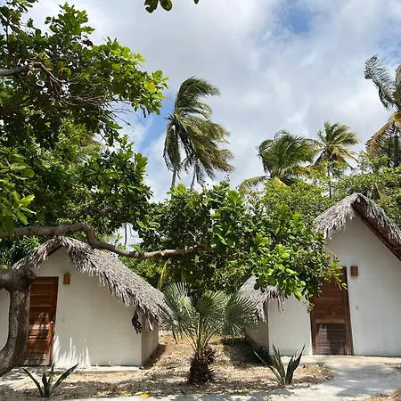 Hausatins-3