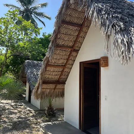 Hausatins-2